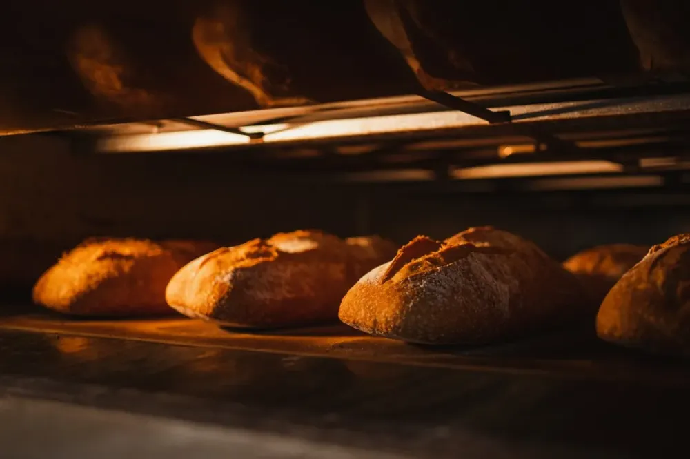 Boulangerie bio